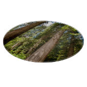 Western Rote Zedernbaume Schneidebrett (Ecke)