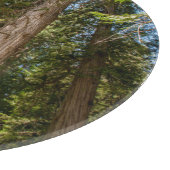 Western Rote Zedernbaume Schneidebrett (Ecke)