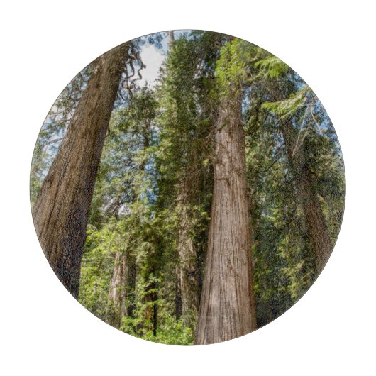 Western Rote Zedernbaume Schneidebrett (Vorderseite)