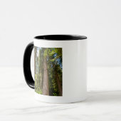 Western Rote Zedernbaume Tasse (Vorderseite Links)