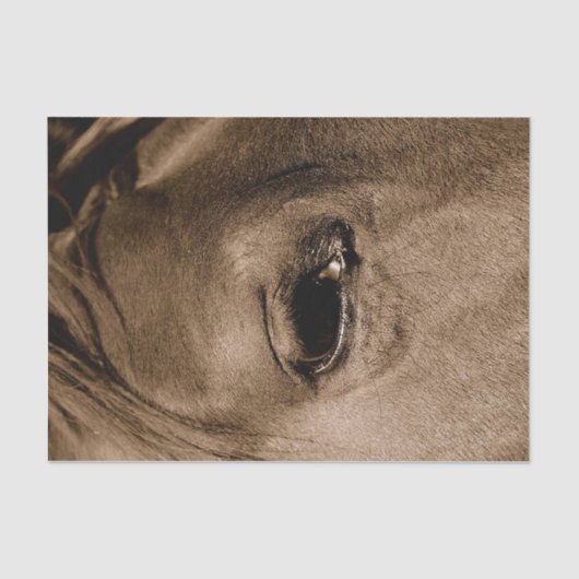 Western Rustikales Vintages Dekoupage Seidenpapier (Vorderseite)