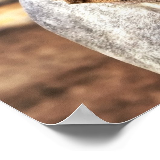 Western Saddle am Graupferd Poster (Ecke)