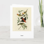Western, Scarlet Tanagers Audubon Birds of America Karte (Rückseite)