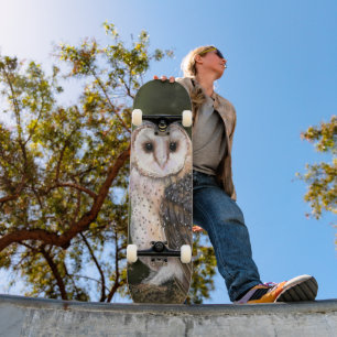 Western-Schale-Skateboard Skateboard