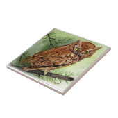 Western-Schrei-Eule Fliese (Seite)