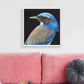 Western Scrub Jay Leinwanddruck (Insitu (Wohnzimmer))