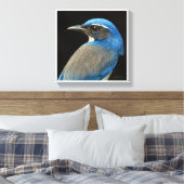 Western Scrub Jay Leinwanddruck (Insitu (Schlafzimmer))