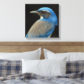 Western Scrub Jay Leinwanddruck (Insitu (Schlafzimmer))