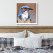 Western Scrub Jay Leinwanddruck (Insitu (Schlafzimmer))