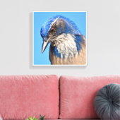 Western Scrub Jay Leinwanddruck (Insitu (Wohnzimmer))