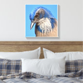 Western Scrub Jay Leinwanddruck (Insitu (Schlafzimmer))