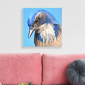 Western Scrub Jay Leinwanddruck (Insitu (Wohnzimmer))