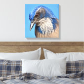 Western Scrub Jay Leinwanddruck (Insitu (Schlafzimmer))