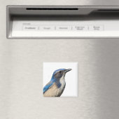 Western Scrub Jay Magnet (In Situ (Geschirrspüler))