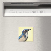 Western Scrub Jay Magnet (In Situ (Geschirrspüler))