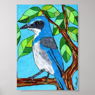 Western Scrub Jay Mini Folk Art Poster