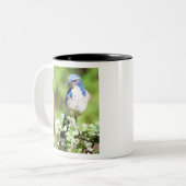 Western Scrub Jay Zweifarbige Tasse (Vorderseite Links)