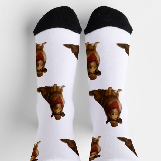 Western Sheltie Socken (Oben)