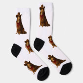 Western Sheltie Socken (Rechts)