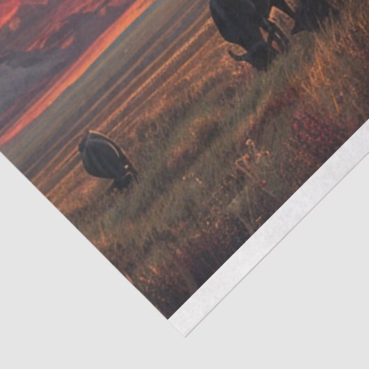 Western Sky Cowboy Tour Entdeckungsreise Seidenpapier (Ausschnitt)