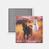 Western-Sonnenuntergang Magnet (Vorderseite/Rückseite)