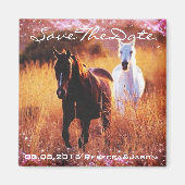 Western-Sonnenuntergang Magnet (Vorne)