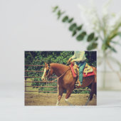 Western Sorrel Postkarte (Stehend Vorderseite)