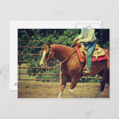 Western Sorrel Postkarte (Vorne/Hinten)