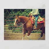 Western Sorrel Postkarte (Vorderseite)