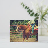 Western Sorrel Postkarte (Stehend Vorderseite)