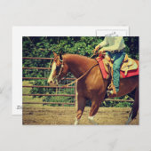 Western Sorrel Postkarte (Vorne/Hinten)