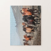 Western-Spur Puzzle (Vertikal)