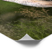 Western-Stall-Owl-Postermalerei Poster (Ecke)