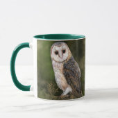 Western Stall Owl Tasse Malerei (Links)