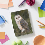 Western Stallhuhn iPad Air Hülle<br><div class="desc">Western Barn Owl - Migne Wasserfarben Malerei Kunst,  Bird of Forest</div>