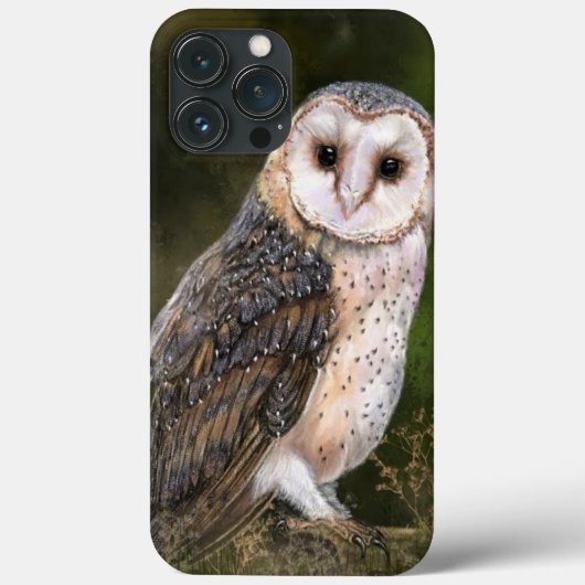 Western-Stallhuhn - Malerei Case-Mate iPhone Hülle (Rückseite)