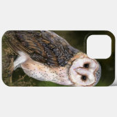 Western-Stallhuhn - Malerei Case-Mate iPhone Hülle (Rückseite (Horizontal))