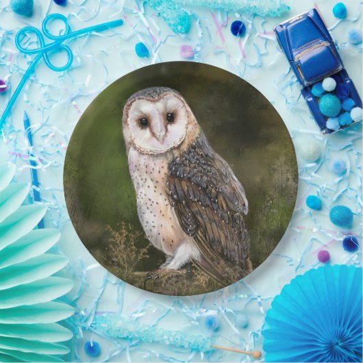 Western Stallpapier Teller (Party)