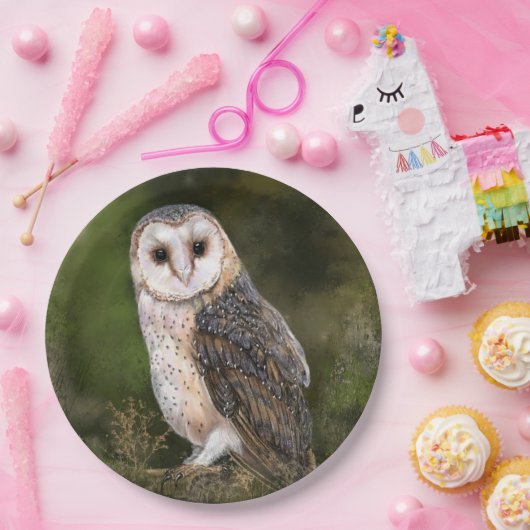 Western Stallpapier Teller (Party)