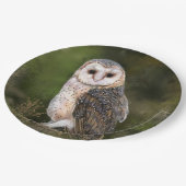 Western Stallpapier Teller (Schrägansicht)