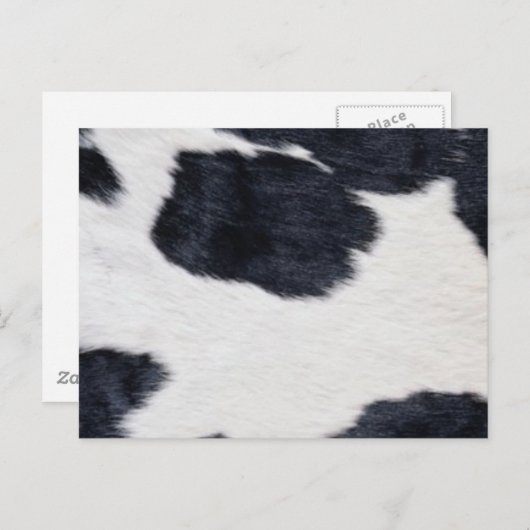 Western-Stilüberzug Schwarzweiß/Weiß Postkarte (Vorne/Hinten)