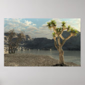 Western Stream Poster (Vorne)