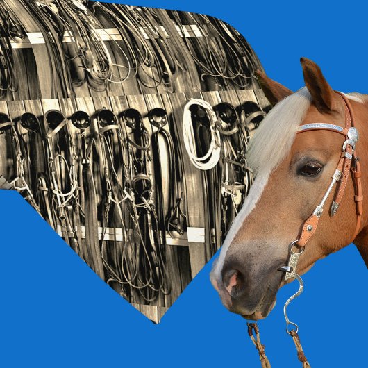 Western Tack Room Bridles Rope Print Necktie 2 Krawatte