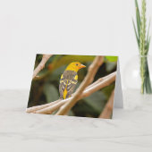Western Tanager Bird Karte (Vorderseite)