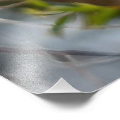 Western Tanager Fotodruck (Ecke)