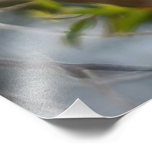 Western Tanager Fotodruck (Ecke)