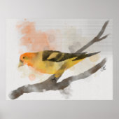 Western Tanager Gelbe Vogelzweig Poster (Vorne)