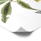 Western Tanager - John James Audubon Poster (Ecke)