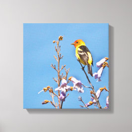 Western Tanager Leinwanddruck