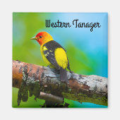 Western Tanager Magnet (Vorne)